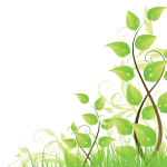 right-leaves1-150x150.png
