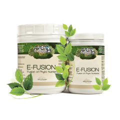 Avena - e-fusion