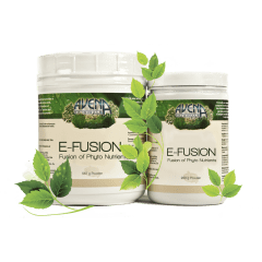 Avena - e-fusion